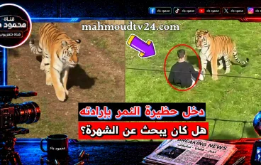 وفاة ويليام تشابمان داخل حظيرة نمر بإنجلترا.. فيديو جديد وتحقيق في الحادث