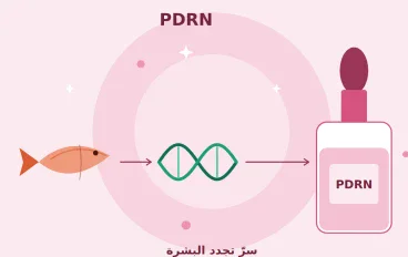 مكوّن جديد PDRN :  لماذا يتصدّر عالم العناية بالبشرة والمنتجات الكورية الجديدة، فما هو وهل يستحق كل هذة الضجة والتسويق ؟