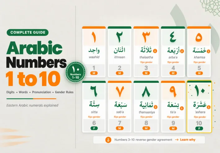 Arabic Numbers in Arabic: Pronunciation, Charts, and Grammar Rules