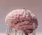 إزاي تعالج التعفن الدماغي؟ 🧠