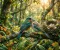 حب فوق الاشجار
