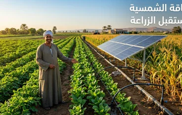 الطاقة الشمسية ومستقبل الزراعة.. نحو تنمية زراعية مستدامة وتحقيق الأمن الغذائي
