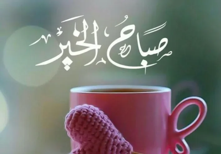 سلامٌ على الدنيا إِذا لم يكنْ بها