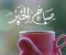 سلامٌ على الدنيا إِذا لم يكنْ بها