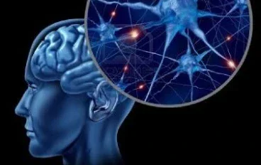 أسرار الدماغ البشري: كيف يعمل أعقد عضو في جسم الإنسان، هل تساءلت يومًا كيف يستطيع الإنسان التفكير 