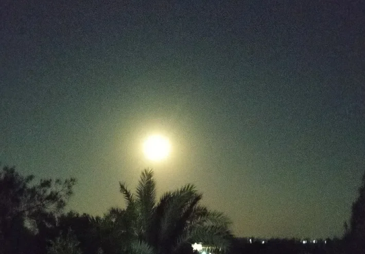 سيره ابو بكر الصديق
