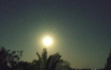 سيره ابو بكر الصديق