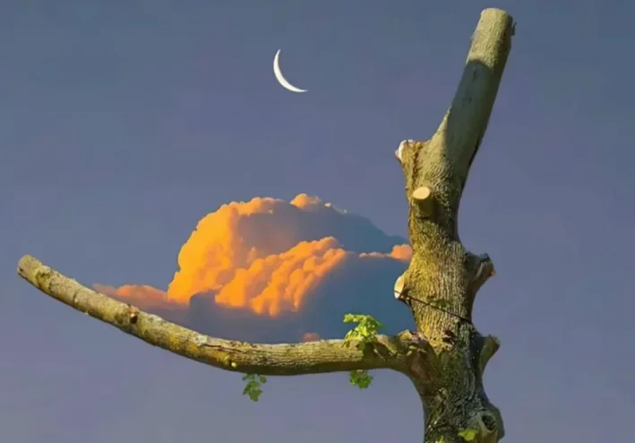 القوة في 5 عادات