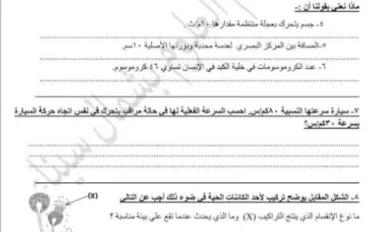 تنزيل النماذج الاسترشادية علوم تالتة إعدادي 2027 PDF الترم الأول