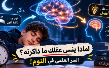 لماذا ينسى عقلك ما ذاكرته رغم ساعات الدراسة؟ السر العلمي الذي يحدث أثناء النوم!