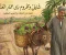 شايل ومحروم زى حمار العنب
