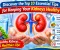 Discover the Essentials Tips for Keeping Your Kidneys Healthy