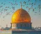 صلاح الدين الأيوبي من حطين إلى القدس "القصة الكاملة لمعركة حطين والتى غيرت مجرى التاريخ"