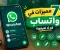 7 مميزات في واتساب قد لا تعرفها..اكتشفها واستخدمها بسهولة!