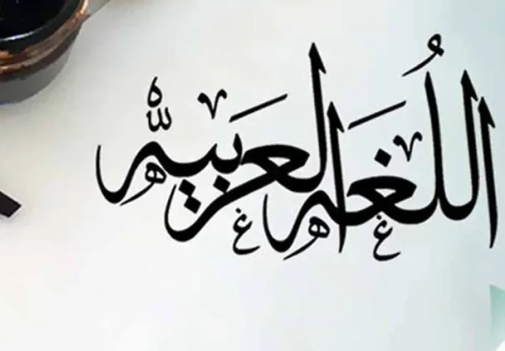 حل الوحدة الثالثة من كتاب التقييمات لغة عربية للصف الأول الإعدادي الترم الأول 2027