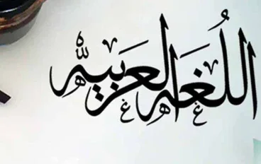 حل الوحدة الثالثة من كتاب التقييمات لغة عربية للصف الأول الإعدادي الترم الأول 2027
