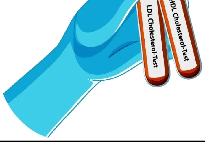 أهم الأسئلة حول الكوليسترول الضار: ما الذي يحدث داخل الشرايين دون أن نشعر؟