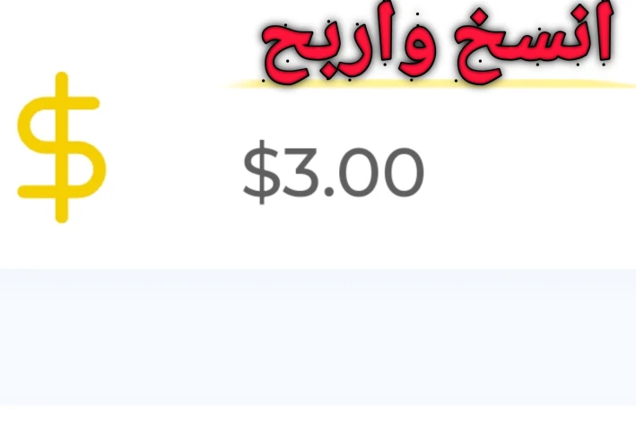 الربح من الانترنت من خلال النسخ والصق