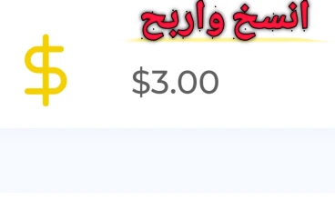 الربح من الانترنت من خلال النسخ والصق