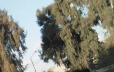 شعر مصري "ما تيجى يا حبيبي نسامح" كلمات الشاعر أسامة فؤاد