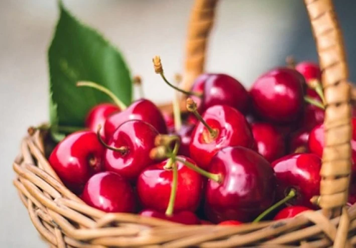 فوائد الكرز وتأثيره على الصحة والجمال