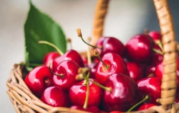 فوائد الكرز وتأثيره على الصحة والجمال