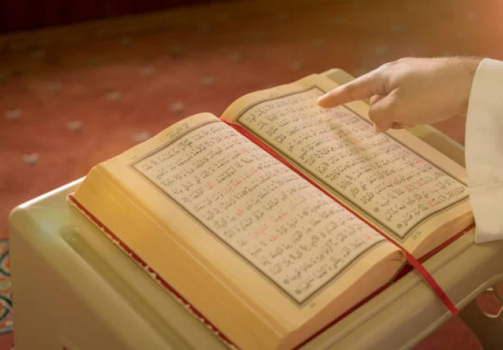 سورة فاطر مكتوبة كاملة بالتشكيل